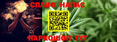 гашик Братск