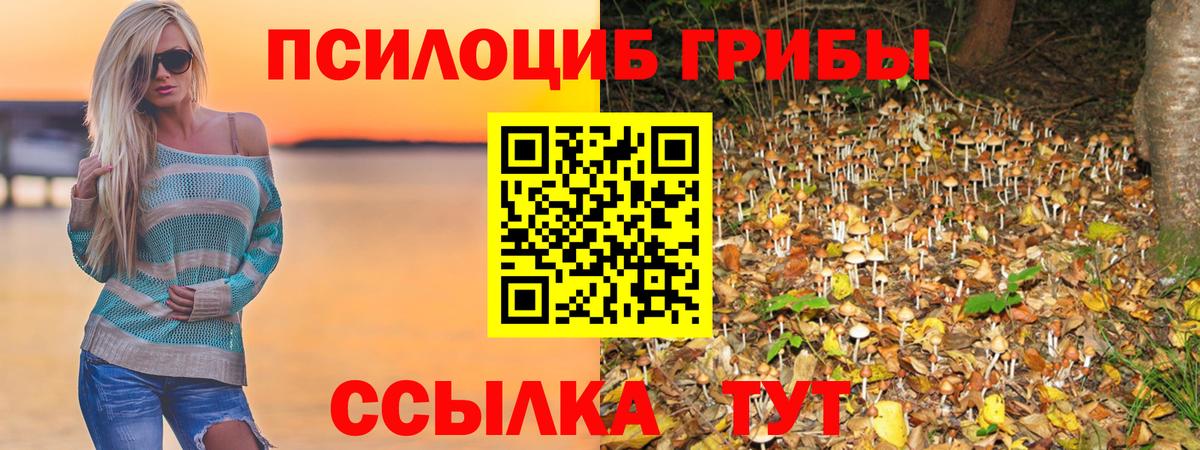 Псилоцибиновые грибы MAGIC MUSHROOMS Грозный